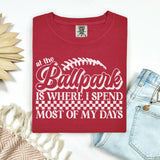 At the Ballpark *Preorder