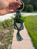 Mini Macrame Plant Hanger