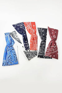 Paisley Print Headwrap